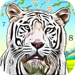 Paint by Number : Coloring Fun