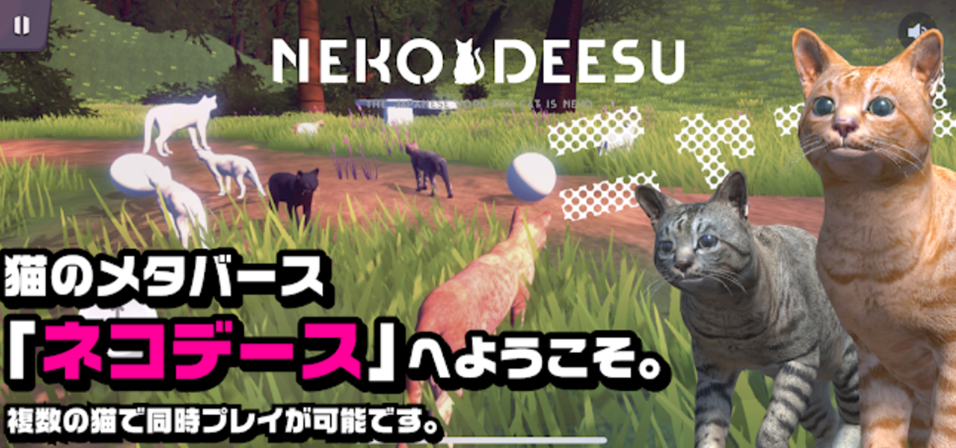 ネコデース｜猫のメタバース