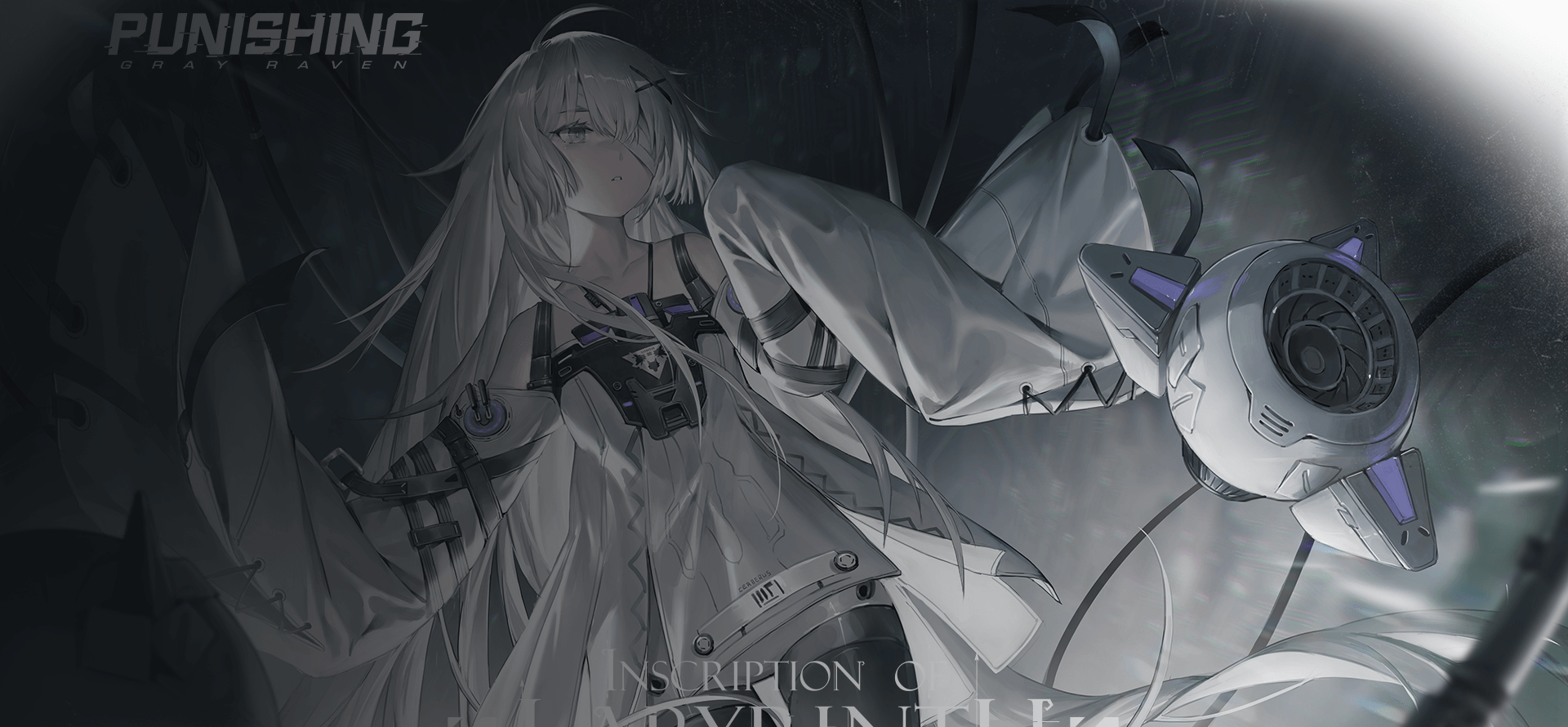 Punishing: Gray Raven