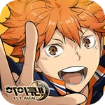 하이큐!! FLY HIGH
