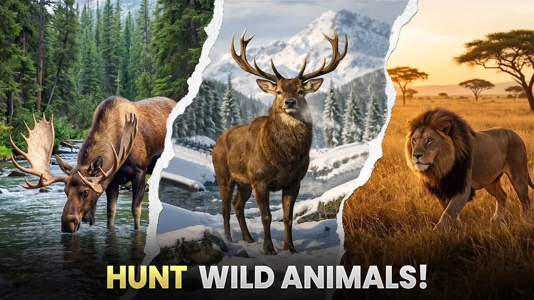 Animal Hunt: PvP Clash